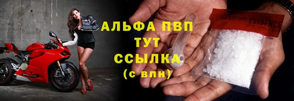 амф Надым