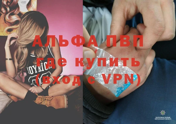 амф Надым